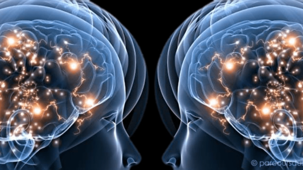 Système des neurones miroirs : fonction, dysfonctionnement et propositions de réhabilitation.