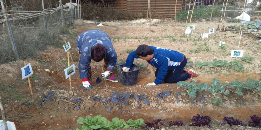 Comment fonctionne une fondation pour la Trisomie 21 